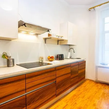 Spacious In The Center Of Apartman *